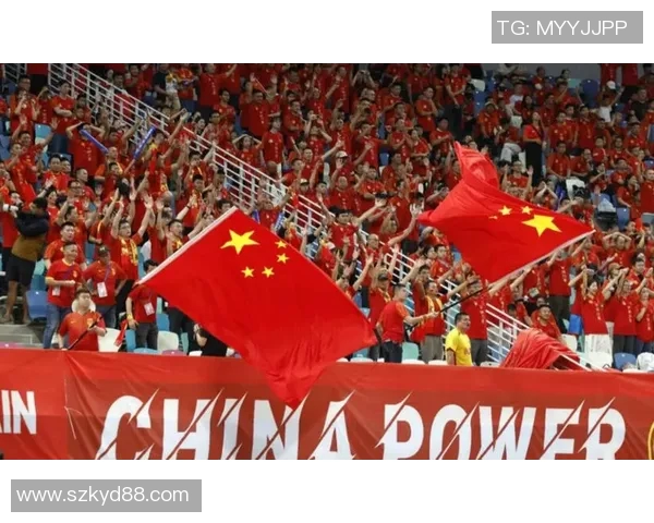 2011年女排世界杯中国队与日本队激战回顾与精彩瞬间解析